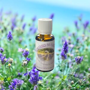 HUILE ESSENTIELLE LAVANDE PARADESA 150Ml